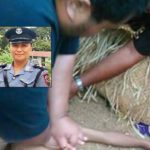 Photo Melemo