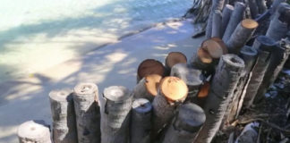 Tonga launches first Climate Change Trust Fund
