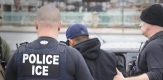 No Tongans arrested in US immigration raids