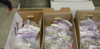 TOP$230,000 worth of uncustomed jewellery, firearm and ammunition seized in Halaleva