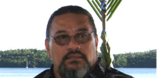 Air passenger charges only go to Airport operator, says Customs and Revenue boss