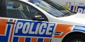 Police hunt man who pointed gun at officer in Otara