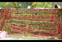 Nobles carry out pongipongi tapu as 10 days funeral taboo begins