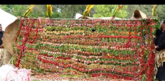 Nobles carry out pongipongi tapu as 10 days funeral taboo begins