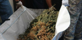 Seizure of large quantities of illicit drugs on ‘Eua spurs public concerns about the island