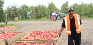 Pacific workers for RSE increased by 1,750 to 12,850