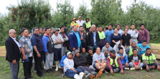 NZ$350 for top picker, but PM hints changing selection criteria