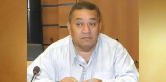 Tongan food exports to be marketed by Turners in New Zealand