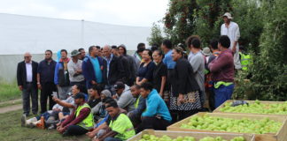 Ardern announces RSE workers allowed one-way quarantine-free travel