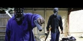 Tongans have no idea how bad “hardcore” Crips are, says American gang expert