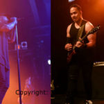 Common Kings band