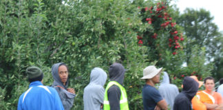 Ardern says gov’t needs to protect workers better; Peters calls modern slavery “a reality”