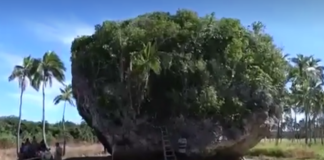 Mythical rock in Tonga has scientific theory