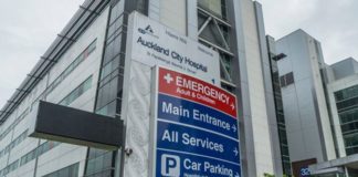 Tongan tourist hospitalised in New Zealand after brutal assault