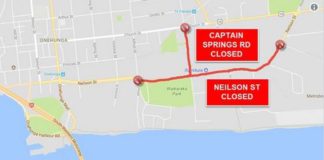 Crash in Onehunga has brought power lines down blocking road