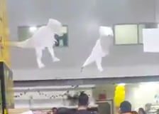 Videos: brutal fight inside Pak’n Save, witnesses yell in Tongan to stop fighting