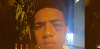 League fans: police assault alleged in Tonga, while Canterbury cops praise fans