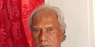 Cabinet line-up to be announced after King appoints Prime Minister, says PM Pohiva