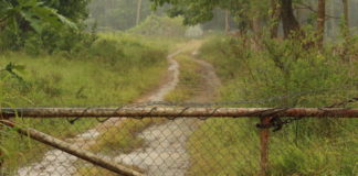 Land Court president calls for review of leasing arrangements