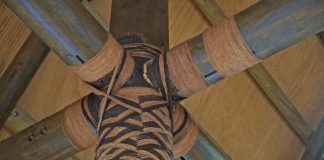 Exploring Fonua – the Tongan concept of humans being one with the environment