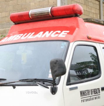Man, 39, charged after machete attack leaves victim hospitalised in Tonga