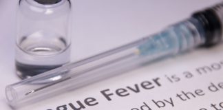 Call for travel warning on dengue in Tonga and plea for New Zealand help