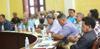 Minister calls for stronger engagement in local government roles