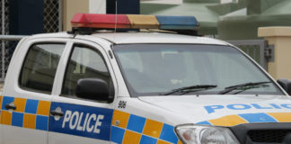 Trial for Lapaha machete attack suspect adjourned until May