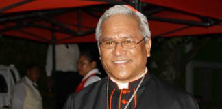Faith and simplicity key to future of Catholic church in Tonga says Cardinal