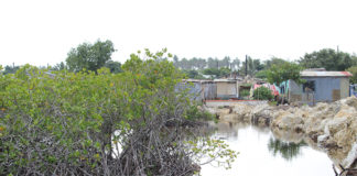 Pacific Islands are canary in the coal mine for climate change says Minister