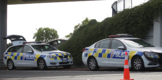 One person critically injured in Mangere crash
