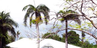 British embassy to reopen in Tonga