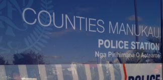 One dead in Mangere East crash