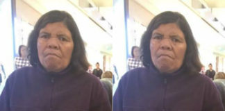 Police searching for missing Auckland woman