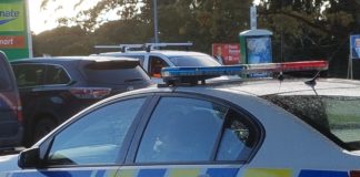Woman dies after being hit by car on Auckland’s North Shore