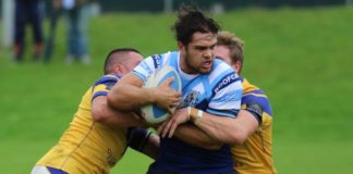 Local clubs to benefit from Auckland v Tonga sales May 9, 2018
