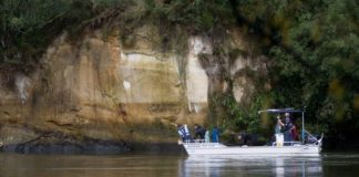 Body recovered from Waikato River