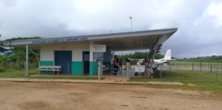 Growing tree branches near runway cancel ‘Eua flight service, says CEO