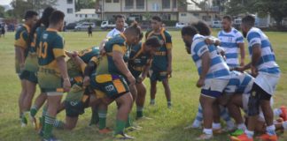 Rugby coach banned for life; $4000 fine after attack on referee in Tongatapu