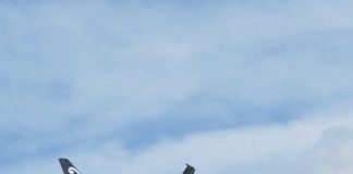 Tongan convicted of indecent assault will be deported despite ‘anguish’ it will cause family