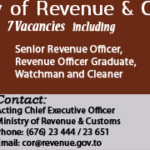 Custom Revenue 7 posts