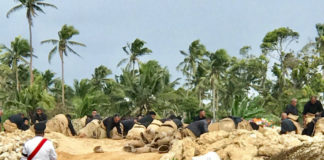 Land lease leaves King Tupou 1’s mother’s tomb dilapidated; King orders its restoration