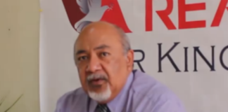 Lulutai employs Real Tonga director as interim CEO to assist in airlines review process