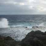 Blowholes 1