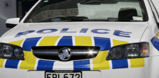 Kerikeri man assaulted and his car stolen