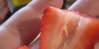 Young boy arrested over strawberry needles
