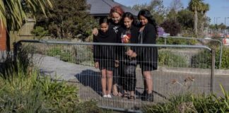 11-month-old Tongan dies after falling into water race in Rolleston