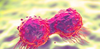 Hope for breast cancer patients as scientists make new discovery