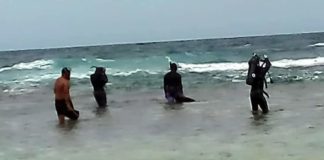 Search continues for father who rescued wife at Laulea