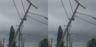 Car hits power pole in Tongatapu